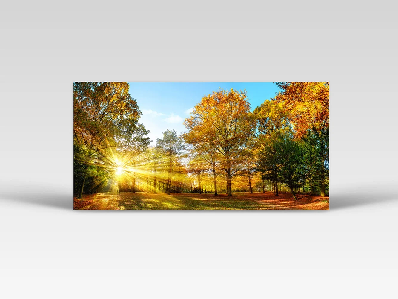 Canvas Prints - Long Rectangle (1 : 2) - L1 - 10" x 20" (26cm x 51cm)