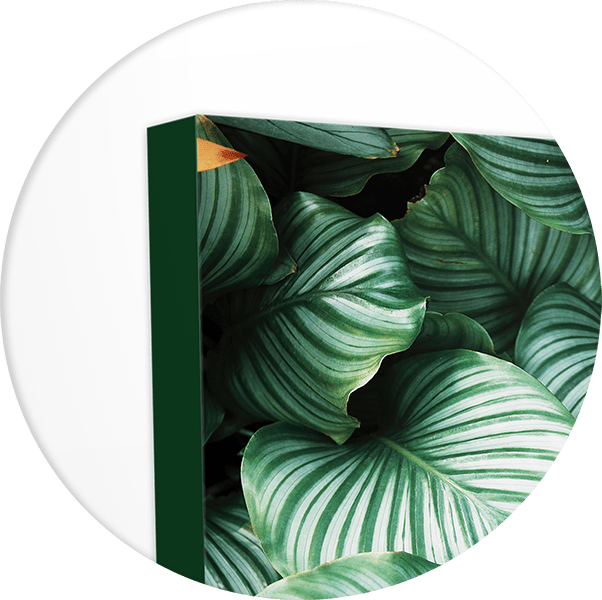 Canvas Prints - Long Rectangle (1 : 2) – MyCanvasPrints